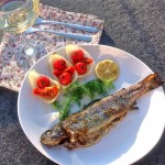 De zon in je bord met forel, venkel en tomaat